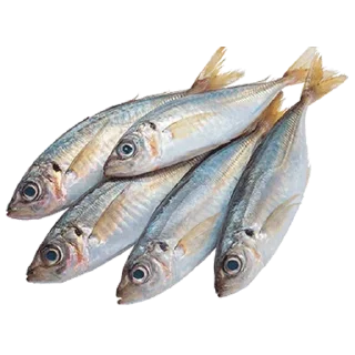 Sticker Больше стиков тут: @stikery4 - 6