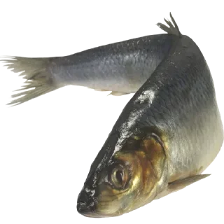 Sticker Больше стиков тут: @stikery4 - 8