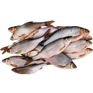 Sticker Больше стиков тут: @stikery4 - 0