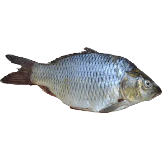 Sticker Больше стиков тут: @stikery4 - 3