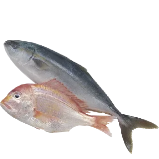 Sticker Больше стиков тут: @stikery4 - 2