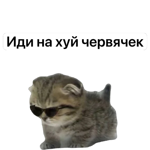 Sticker Ugar8251 - 1