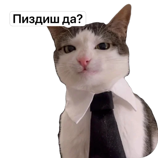 Sticker Ugar8251 - 1