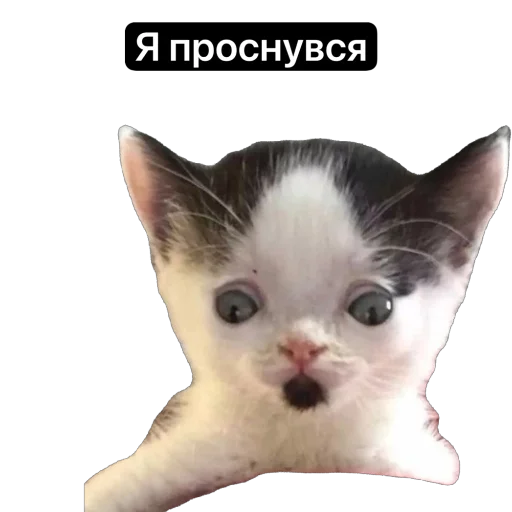 Sticker Ugar8251 - 1