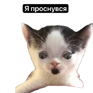 Sticker Угар - 3