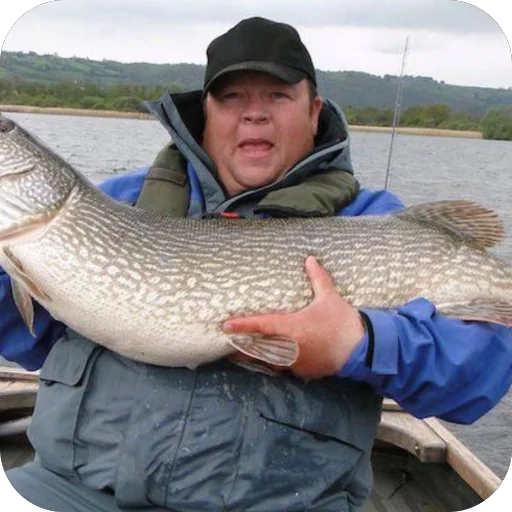 Sticker UhBalya2 - 1