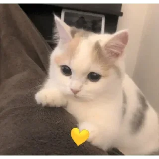 Sticker Больше стикеров 👉🏻 @stickertg4 - 2