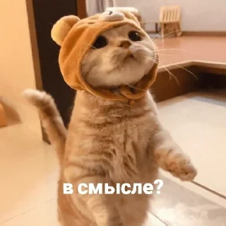 Sticker Больше стикеров 👉🏻 @stickertg4 - 7