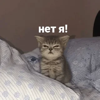 Sticker Больше стикеров 👉🏻 @stickertg4 - 3