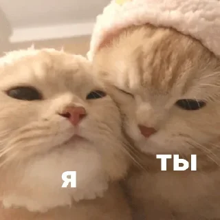 Sticker Больше стикеров 👉🏻 @stickertg4 - 5