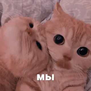 Sticker Больше стикеров 👉🏻 @stickertg4 - 4