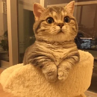 Sticker Больше стикеров 👉🏻 @stickertg4 - 0