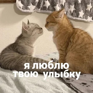 Sticker Больше стикеров 👉🏻 @stickertg4 - 9