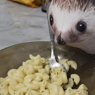 Sticker Больше стикеров 👉🏻 @stickertg4 - 0