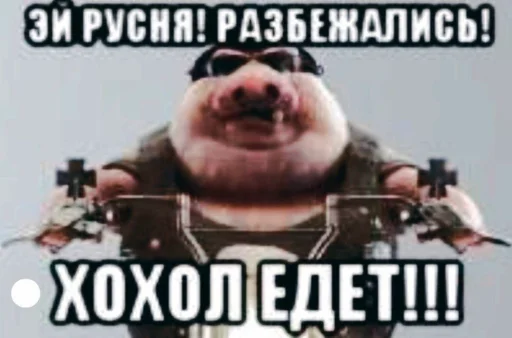 Хохлы - 