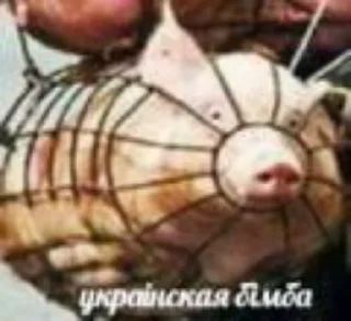 Sticker Хохлы - 4