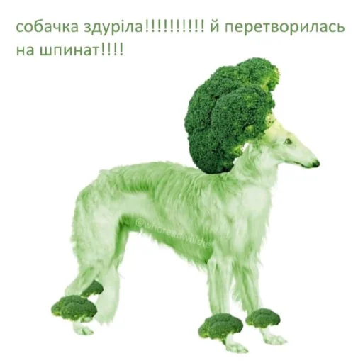 Sticker українські меми - 8