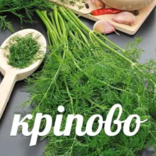 Sticker українські меми - 7