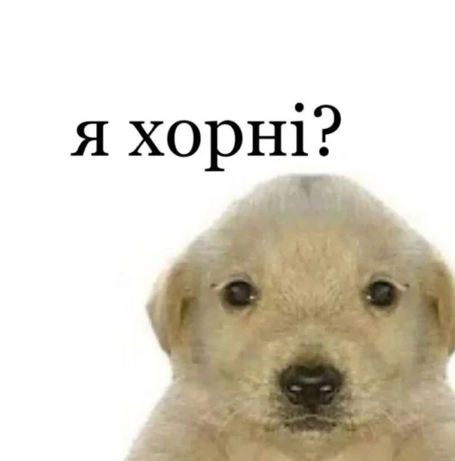 Sticker українські меми - 5