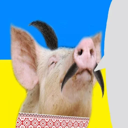 Sticker Свинопак - 11