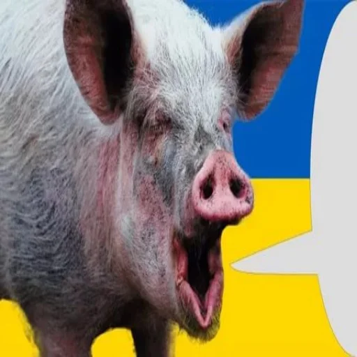 Sticker Свинопак - 5