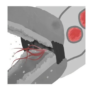 Стикер Ultrakringe - 0