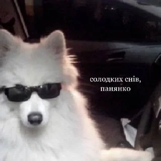 Стикер А я шо знаю - 11