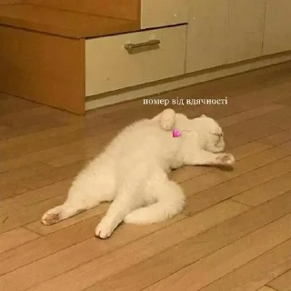 Стикер А я шо знаю - 9