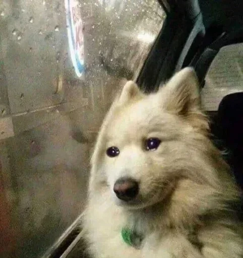 Sticker Эмоции by @fStikBot - 7