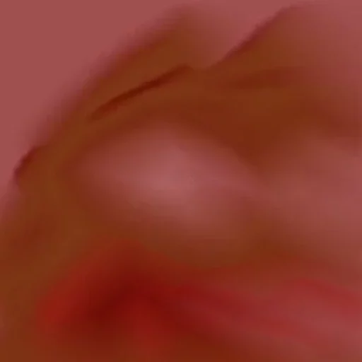 flower closeup peach