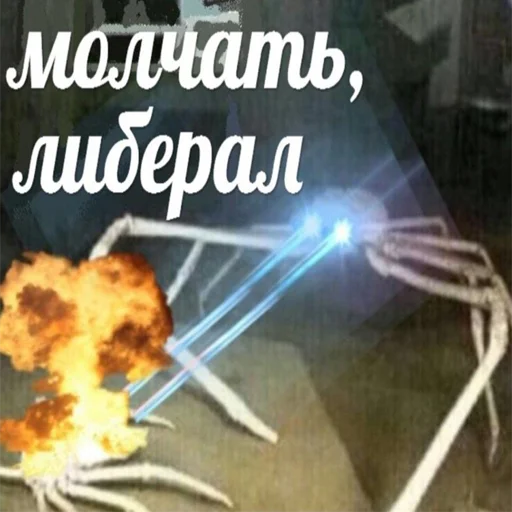 text invertebrate animal