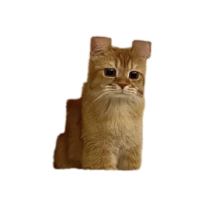 Sticker Улулу - 3