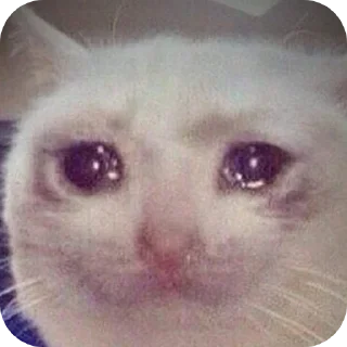 Sticker Улулу - 10