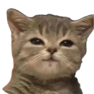 Sticker Улулу - 8