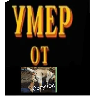 Стикер Умер от - 11