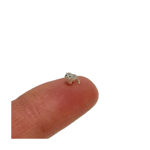 Стикер UnKtwJs_by_stickers_stealer_bot - 1