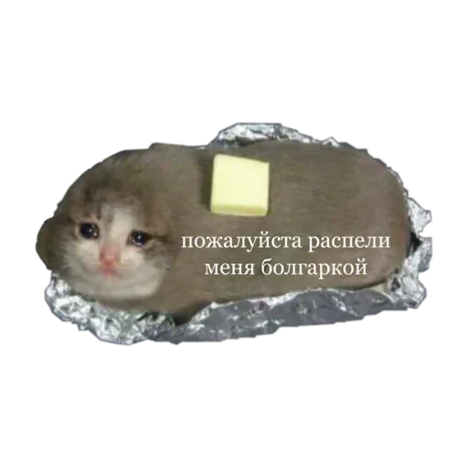 Стикер UnKtwJs_by_stickers_stealer_bot - 1