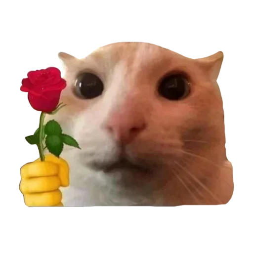 Sticker UnKtwJs_by_stickers_stealer_bot - 1