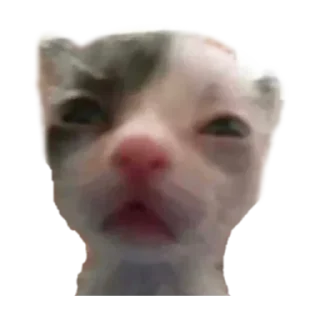 Sticker Больше стикеров 👉🏻 @stickertg4 - 4