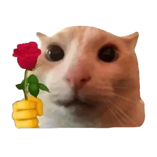 Sticker Больше стикеров 👉🏻 @stickertg4 - 11