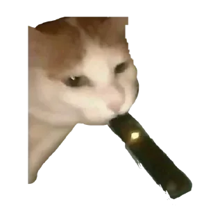 Sticker Больше стикеров 👉🏻 @stickertg4 - 0