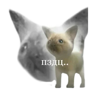 Sticker Больше стикеров 👉🏻 @stickertg4 - 10