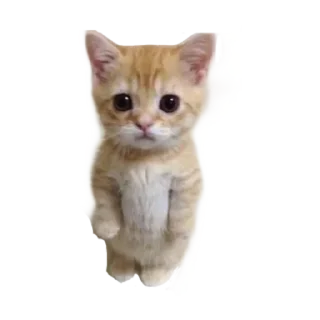 Sticker Больше стикеров 👉🏻 @stickertg4 - 2