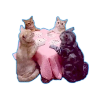 Sticker Больше стикеров 👉🏻 @stickertg4 - 5