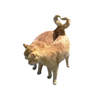 Sticker Больше стикеров 👉🏻 @stickertg4 - 6