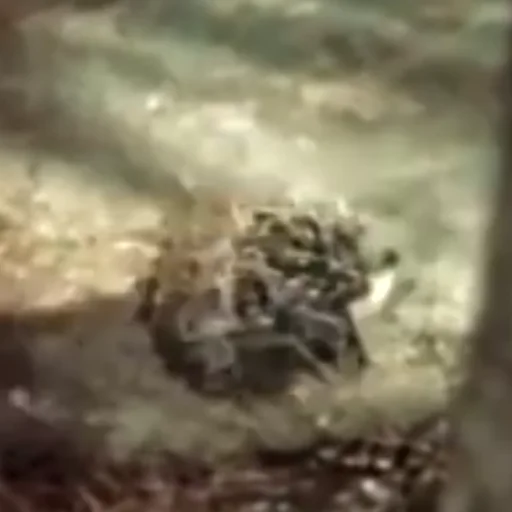 Sticker Дядюшка Ау - 4