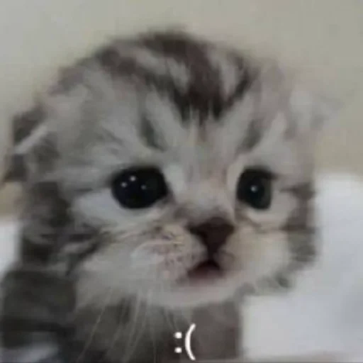 Стикер Unuuuuus - 1