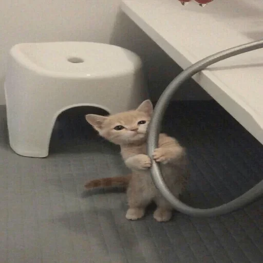 Sticker Unuuuuus - 1