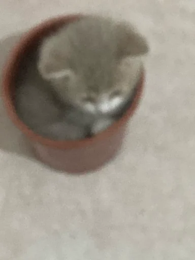 Sticker Unuuuuus - 1