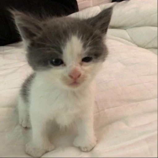 Стикер Unuuuuus - 1